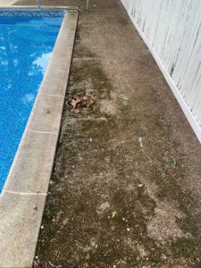 Pool Deck Coating Stoughton ma 35